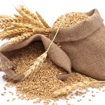 Sumber Pangan Gandum Yang Sangat Bermanfaat