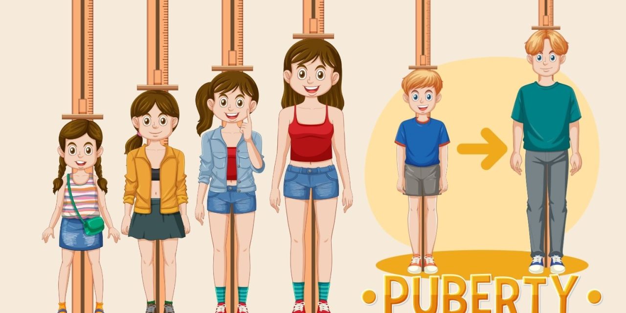 Perkembangan Anak Remaja Ke Masa Pubertas