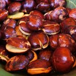 Hidangan Nikmat Jengkol Namun Beraroma Bau Menyengat