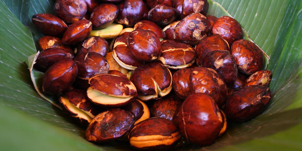 Hidangan Nikmat Jengkol Namun Beraroma Bau Menyengat