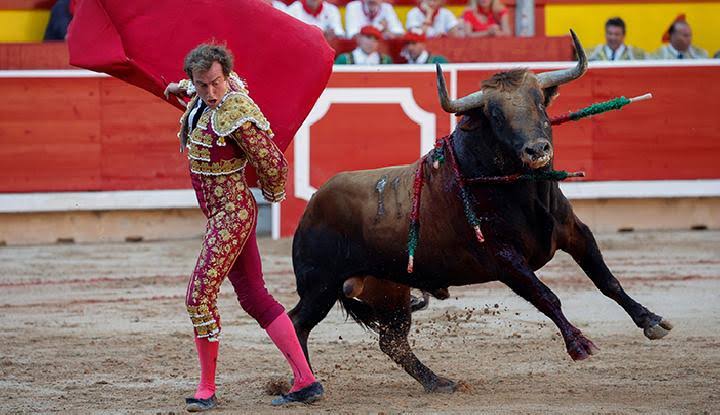 Pertarungan Tradisional Matador Banteng Dan Manusia
