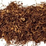 Tumbuhan Daun Tembakau Yang Di Olah Untuk Rokok