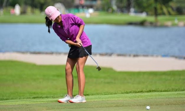 Suatu Olahraga Mahal Pada Permainan Golf