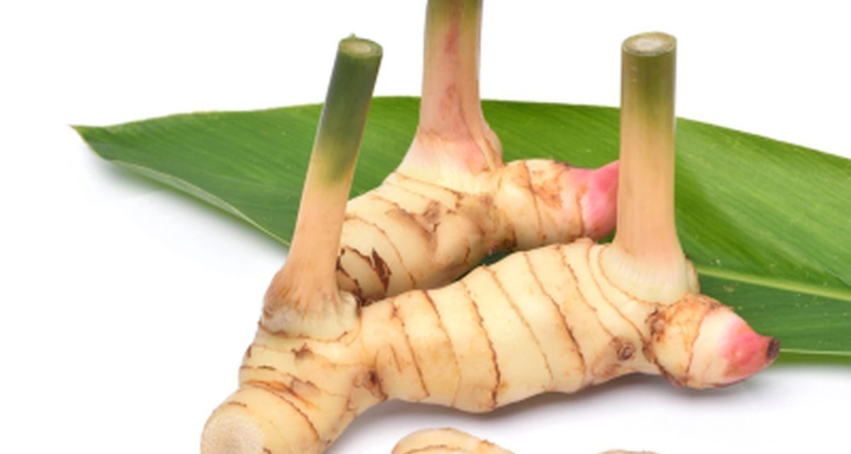 Bahan Rempah Lengkuas Dengan Penggunaannya Memasak