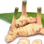 Bahan Rempah Lengkuas Dengan Penggunaannya Memasak