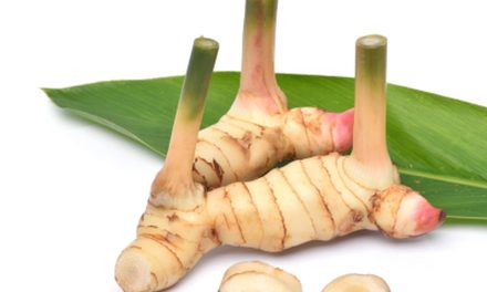 Bahan Rempah Lengkuas Dengan Penggunaannya Memasak