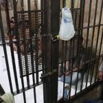 Sebuah Sel Tahanan Penjara Untuk Narapidana