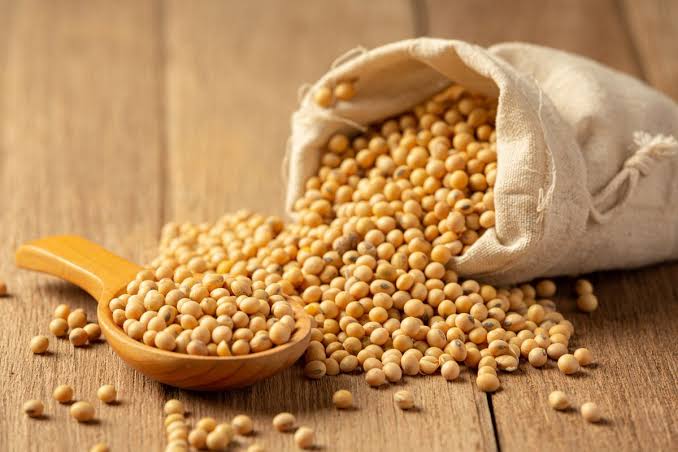 Suatu Bahan Kedelai Sebagai Olahan Tempe Dan Lainnya